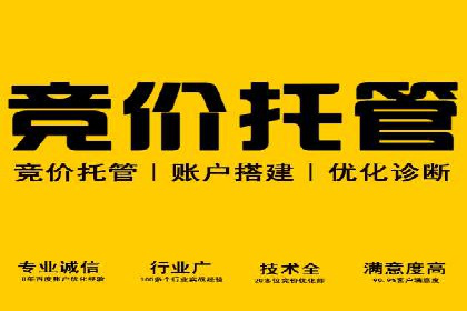 百度竞价包年推广策略——某行业巨头的成功经验